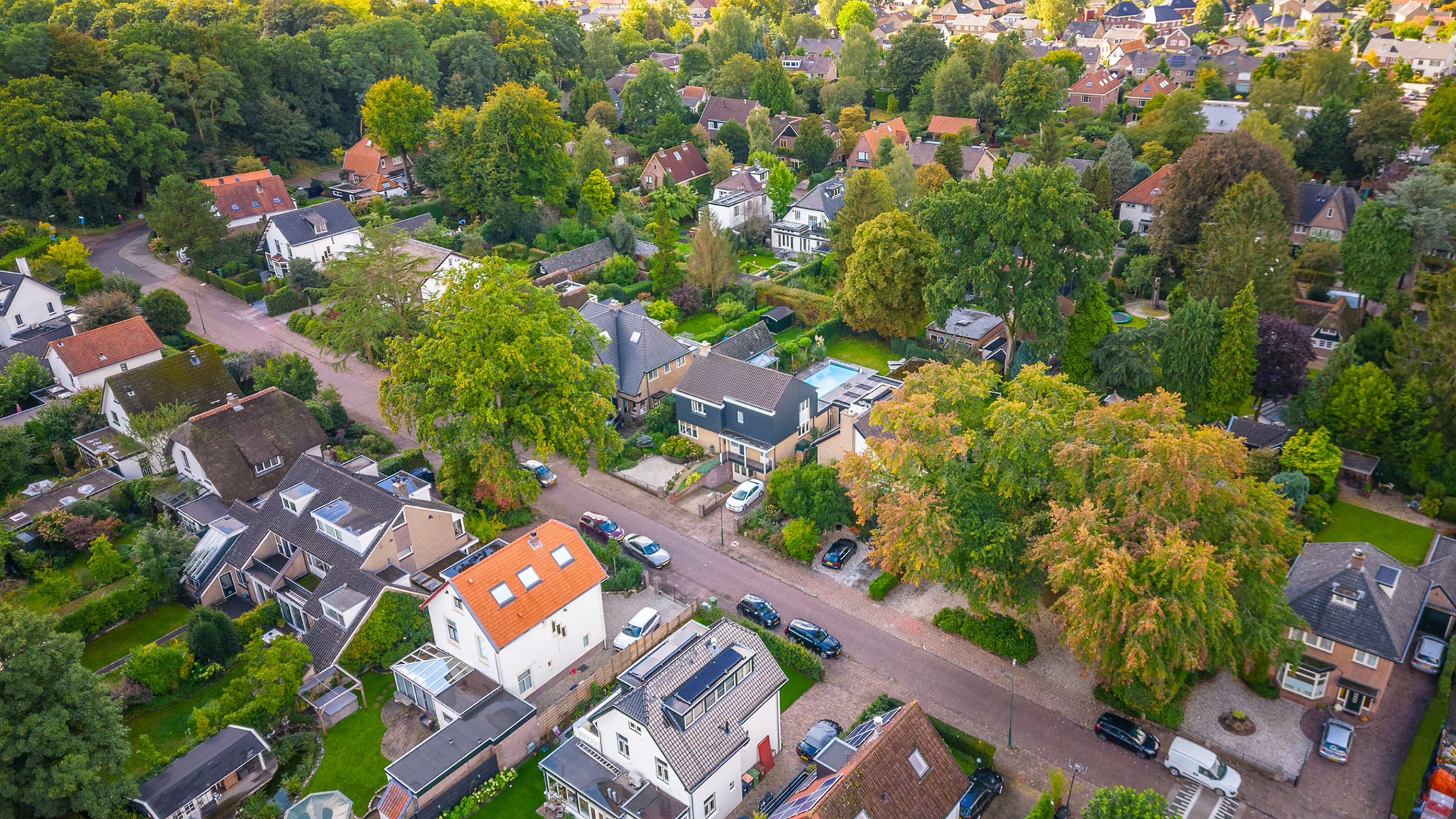 Bos Makelaardij